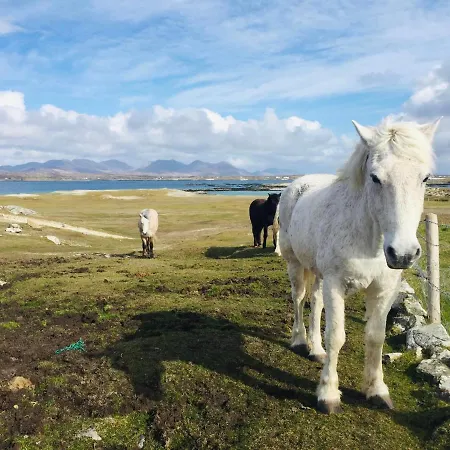 Connemara Sands & 호텔 4*
